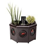 Blagdon Affinity View Half-Moon Living Water Feature Patio Pool Pond, with Inpond 5-in-1 2000 Filter Pump & LED Spotlight, 3 Attractive Fountain Feature Heads, 1 Planting Basket - Small, Black