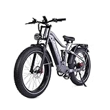 RZOGUWEX Electric Bicycle，26 Inch Off-Road EBIKE for Adults with 48V 25AH Detachable Lithium Ion Battery, 7 Speed with Dual Shock Absorbers and Dual Hydraulic Disc Brake(Black)
