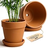 Green Thumbz Terracotta Plant Pots - 20cm x 2 Pack Large Terracotta Pots with Saucer and Drainage Hole - Flower Pots Outdoor or Indoor Use - Brown Clay Pot with Tray