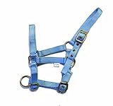 Rhinegold Nylon Foal Headcollar - Baby blue