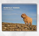 Norfolk Terrier Calendar 2026: Monthly Wall Calendar with Notes, Hanging A4 Size, Includes key dates & holidays