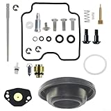 Oniissy Carburetor Rebuild Repair Kit Compatible with DRZ400 DRZ400E DRZ400S Models 2000-2007 - 25-Piece Set for Lawn Mower Parts and Outdoor Power