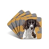 Springer Spaniel - Set of 4 Coasters - Leslie Gerry Animal Gifts