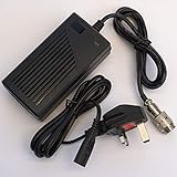 Leisure Pursuits Golf Battery Charger Pro Rider ALSO FITS Fazer, Headway Pro, Stowamatic 3a Chrome Connector