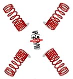 Lo Suspension Lowering Springs 15304 40/35mm compatible with BMW 5 SERIES SALOON 2wd F10 10-17 550i