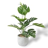 Artificial Plants in Pots, Fake Tropical Palm Tree with Greenery Leaves Stems,32CM Tall Taxu Plant for Office Desk Shelf,Garden,Home,Bathroom,Windowsill Decor