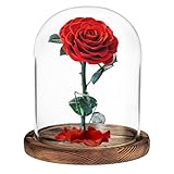 Dewocke Glass Display Cloche Dome with Vintage Wooden Base, Clear Decorative Tabletop Display Case with Tray, Decorative Glass Cloche Showcase, for Plant, Collection, Toy, Crystal