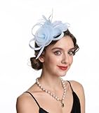 Fascinator Hat Feather Mesh Net Veil Party Hat Ascot Hats Flower Derby Hat with Clip and Hairband for Women(B9-Light Blue)