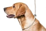 Dog & Field Deluxe Gundog Slip Lead - Natural Brown. Soft Spliced Marine Rope Slip Lead For Dogs With Rubber Stopper, Easy To Slip On, No Collar Or Harness Needed, One Size