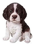 Vivid Arts Pet Pals - Springer Spaniel Puppy