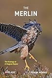 The Merlin: The Ecology of a Magical Raptor