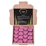 habibis 16 Heart Wax Melts Inspired by Alien Strong Home Fragrance Luxury Scented Gift Set Home Handmade Candle