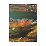 Art Print Poster Brook Trout Fly Fishing Canvas Prints Wall Art Newspaper Aesthetic Canvas Posters Prints Painting for Dorm Bedroom Wall Decor 12x16 inch Unframe Modern Artwork Painting