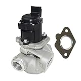 Bisenya EGR Valve Compatible with C2 C3 C4 206 207 307 1.6 HDI 1618.59 1618.NR 9649358780 9660276280