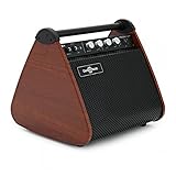 VISIONAMP Electronic Drum & Keyboard Amplifier Portable 50W