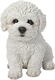 Vivid Arts Pet Pals Bichon Frise Puppy PP-BCHN-F