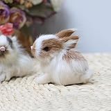 Hehglng Mini Simulation Rabbits, Realistic Cute Plush Rabbit Lifelike Plush Bunny Realistic Rabbit Miniatures, White Rabbits Home Party Decors Model Miniatures Decorations Gift
