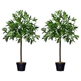 Outsunny Artificial Bay Laurel Topiary Trees w/Pot Fake, Set Of 2 90cm/3FT Indoor Greenery Plant Home Office Garden Decor Green