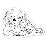 Azeeda 4 x 'Cavalier King Charles Spaniel' White Premium Vinyl Decal Stickers – Waterproof, Durable & Easy to Apply - for Car Bumpers, Windows, Bins & More - Small (50mm) (DW00055753)