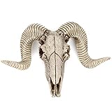 Romeeton Horn Mounted Wall Skull Hanger for Household, Bar, Restaurant and Hotel Decoration - Goat Horn and Bull Head Resin Sculpture Art (A)