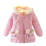 Toddler Winter Coats Faux Fur Hooded Infants Sherpa Fleece Lined Puffer Jacket Thickened Warm Coat for Baby Girls Cotton Padded Jacket Teen Girl Winter Jackets (Pink, 1-2 Years)