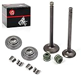MOTO1988 Valve Set Exhaust Valve Intake Valves with Valve Seals for Honda XR100R XR80R CRF100F CRF80F NSF100 2006 XL100S XL75 XL80S XR100 XR75 XR80 OEM Part Number: 14711-152-000, 14721-176-000