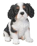 NEW Tricolour King Charles Puppy Pet Pal Vivid Arts