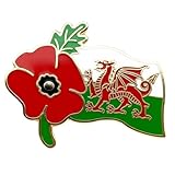 Red Poppy Badge Wales Welsh Flag Red Dragon Pin Remembrance Day Brooch Enamel Memorabilia Gift