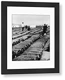 Media Storehouse Japanese Artillery Shells in Manchuria Framed Print, 1905 - Modern Frame 22"x18" (58x48cm) (11797996)