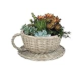 Tea Cup Plant Pot Basket - Antique Wash Woven Giant Teacup and Saucer Planter with Waterproof Lining Indoor Outdoor Use - Flowering Bulb Planting Seagrass