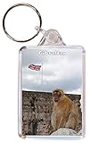 Gibraltar - Double Sided Large Keyring Key Ring Fob Chain Name Tag Souvenir/Gift/Present