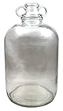 Glass 1 Gallon Demijohns