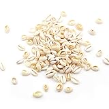 BetterJonny 150pcs Craft Shells, 1.6-1.8cm Oval Spiral Shell Beads Natural Spiral Cowrie Shell Charms for DIY Jewelry Making or Deco Crafts