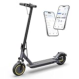 Riceel R70 Electric Scooter for adult, APP Control, Max Speed 25 km/h, Max Range 25 km, 8.5" Solid Tire, Max Load 120 kg, Dual Braking,Dual suspension