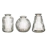 Sass & Belle Plain Glass Bud Vases - Set of 3 Clear