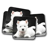 4 Set - West Highland Terrier Puppy Coaster - Westie Dog Cute White #15223