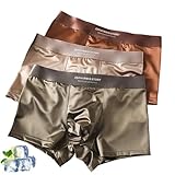 INLANDSIS Elegant Silk Men's Ice Silk Underwear Men's Boxer Briefs Moisture-Wicking Mesh Cooling Seamless Comfort (Combination 2,XXL)