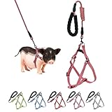 Mini Pig Harness, Adjustable Small Pig Harness with Leash Infinity Style Lead and Soft Foam Handle for Small to Medium Pet Pigs Walking Training Jogging (Red, S)