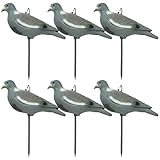 NITEHAWK 6 x Painted Full Body Pigeon Decoy Shell Hunting Shooting Fake Bird Decoying Pack