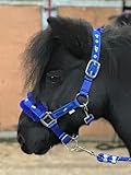 Equipride Horse Print Fur Padded Nylon Headcollars with Lead Rope Royal Blue (Mini Shetland)