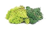 Hornby R7194 Lichen - Green Mix for Model Railway OO Gauge, Hornby Accessories for Adding Scenery, Dioramas, Woodland, Buildings and More, Model Making Kits - 1:76 Scale Accessory
