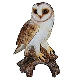 Barn Owl Real Life Ornament by Vivid Arts