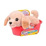 Little Live Pets My Really Real Puppy Minis- Buddy the Retriever| Interactive Puppy with 20+ Sounds & Reactions- Includes Basket for Display. Fun & Adorable Gift for Kids (11cm/4.3in tall)
