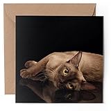 1 x Greeting Card - Burmese Cat Kitten Cats - Blank Birthday Celebration Anniversary #50418