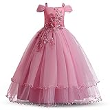 TTYAOVO Girls Pageant Ball Gowns Kids Chiffon Embroidered Wedding Party Dress Size(140) 8-9 Years 431 Pink