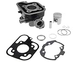 Replacement Cylinder Kit and Piston 50 cc Peugeot Jet Force, Jet Force TSDI, Tech, Ludix Blaster 2, Speedfight 3