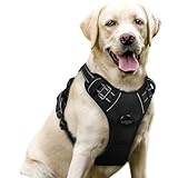rabbitgoo Dog Harness Large Dog No Pull Pet Harness with 2 Leash Clips, Adjustable Soft Padded Pet Vest Harness, Reflective No-Choke with Easy Control Handle for Training or Walking, Black, L