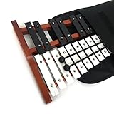 25 Key Wooden Xylophone/Glockenspiel by ProKussion with Bag Case