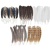 50 Pcs Craft Feathers Decorations, Brown Pheasant Feathers, Speckled Craft Feathers, Natural Pheasant Feathers for Crafting Hat Floral DIY Home Party Wedding Performance Supplies