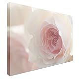 Soft Pink Wedgwood Rose | 12x16 Canvas Wall Art Print - Long Lasting Wooden Frames